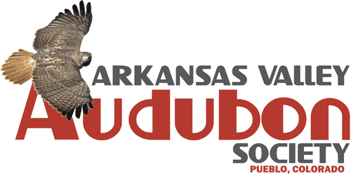 Arkansas Valley Audubon Society