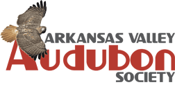 Arkansas Valley Audubon Society